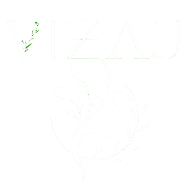 VIZAJ LLC